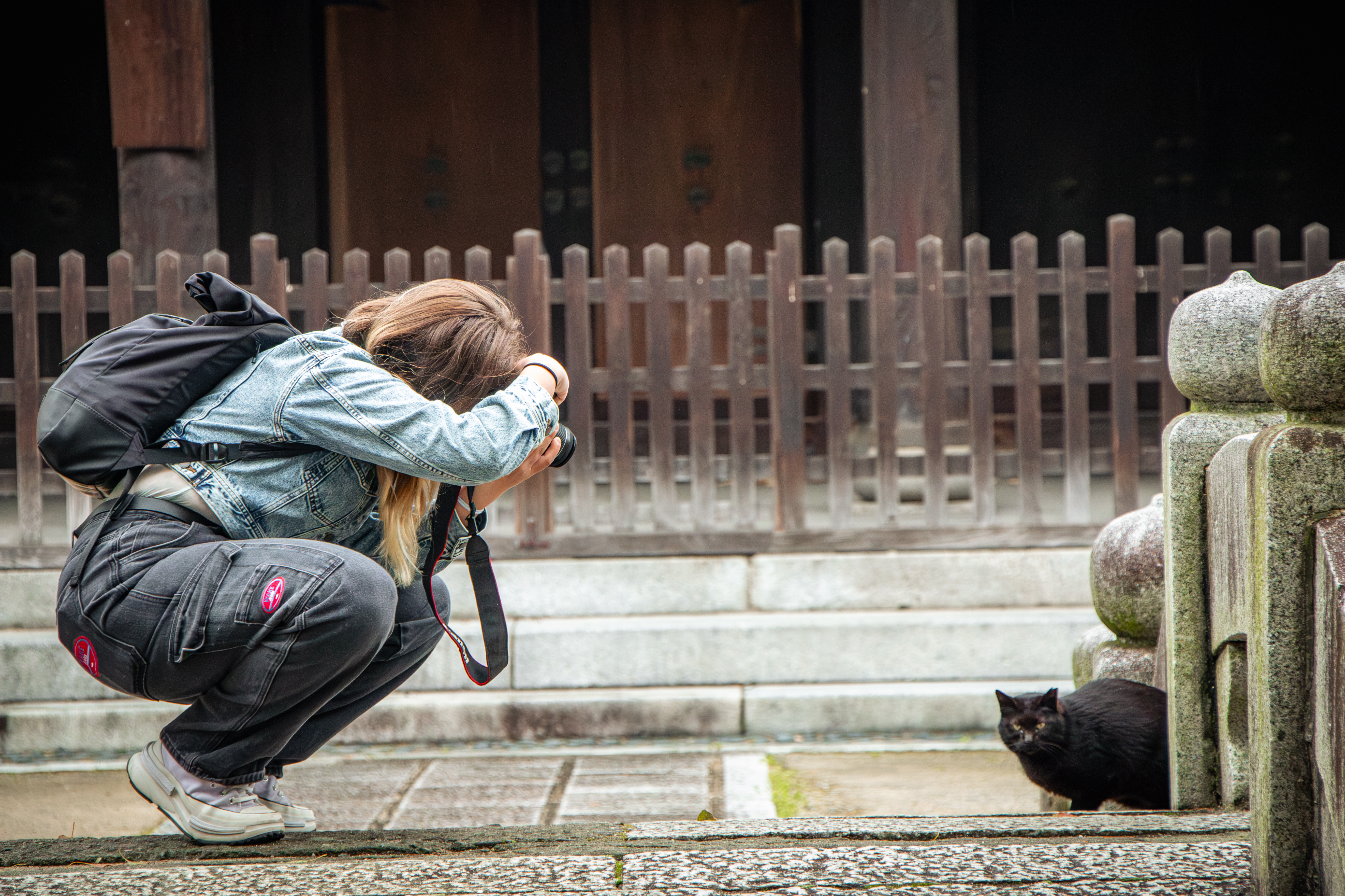 Laura fotografiert eine Katze in Japan